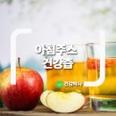 [건강] 건강쥬스 만드는 방법 33가지 이미지