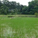 은정농장 이미지