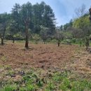 매전면사무소 이미지