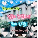 Bee HOTEL | [튀르키예 여행] 셀축 시 호텔 추천 - 퀸비 호텔(Queen Bee Hotel)