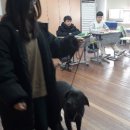 웅포중학교 이미지