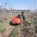 노을한우농장 이미지