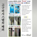 올바른시스템