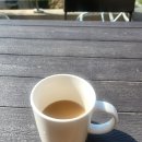 카세리오 이미지