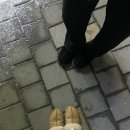 동아리대라수점