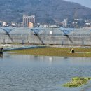 광무농장 이미지