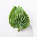 농업회사법인 산들래(주) 이미지