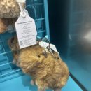 탐나는팜 | 신세계강남 스위트파크 어나더 팜, 새로 생긴 식료품점 another palm grocery 후기