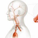 햇살한의원 이미지