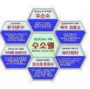 닥터쉬 - 동구 학소로42번길 15-4 | 닥터쉬