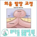 보다듬동물병원 네이버블로그