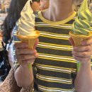 용인온나라약국 | 마쓰야마 3박 4일 가족여행1(마쓰야마 맛집 추천, 일본 다이슨 반입 금지 후기)