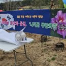 나라꽃 무궁화원 조성 행사 이미지