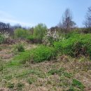 모동면행정복지센터 이미지