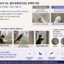 금천구 독산동 빌라, 고양이 안전사고 예방을 위해 JS 0.6 안전방충망을 설치한 이유