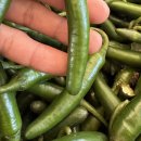 창원농장 이미지