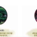 민안초등 이미지