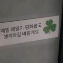 스시아오 - 남구 삼산로266번길 5-13 | 스시아오