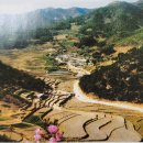 반송동164 이미지