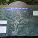 치악산 자연휴양림 카라반 1호 후기｜대기예약 성공, 4호와 위치 차이 비교