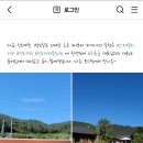 룸숲 이미지