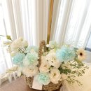 사파동390 이미지