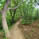 우면산3-27 이미지