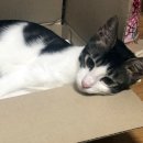 강남사우나 이미지