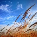 별헤는밤 이미지