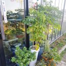 삼도왕국밥 이미지