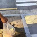 베스킨라빈스수락산점