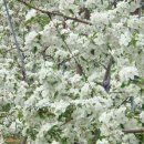 가재골농장 이미지