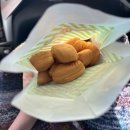 럭셔리 안성M글램핑카라반 | 트윈텐트 이용후기