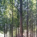 벨라 모먼트 이미지