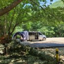 원동자연휴양림(양산) 이미지