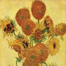 비비나인 이미지