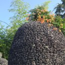 삼달1리 이미지