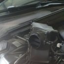 비비게러지 이미지