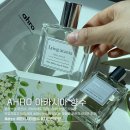 꽃향 | 올리브영 향수 아로 아카시아 꽃향 시향 후기