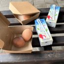 메종 | 발리 사누르 숙소 메종 아우렐리아 후기