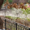 영축산순환산책로(유아숲) 이미지