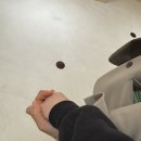 행복한우리고기 | 신사역 맛집 신사화로에서 핑구와 함께한 행복한 고기 데이트 후기 ٩(ˊᗜˋ*)و🖤