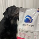 아이디얼푸드 이미지