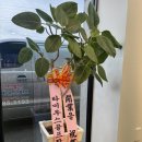 올바른스포츠제주오라점