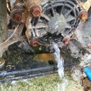 동준농장 이미지