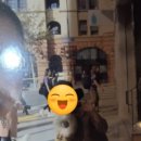 일로엄마집(Mom’s house) | [다리미맘 미국] #4 육아 잠시 멈춤, 나를 위한 시카고 다운타운 혼행 1편 2021