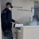 해충크리닉