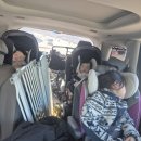 평화5(쌍둥이) 이미지