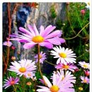 Good happy nice a beautiful smile and rejoice afternoon 😀 이미지