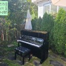 대홍관 | 서초구 대홍관 ㅣ야마하업라이트UX1렌탈 후기(야외결혼식 감성 가득한 피아노의숲 이야기)